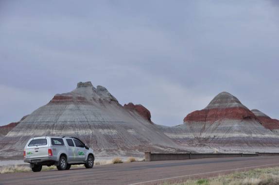 Fiona nos leva através do magnífico Petrified Forest National Park, no Arizona - Estados Unidos